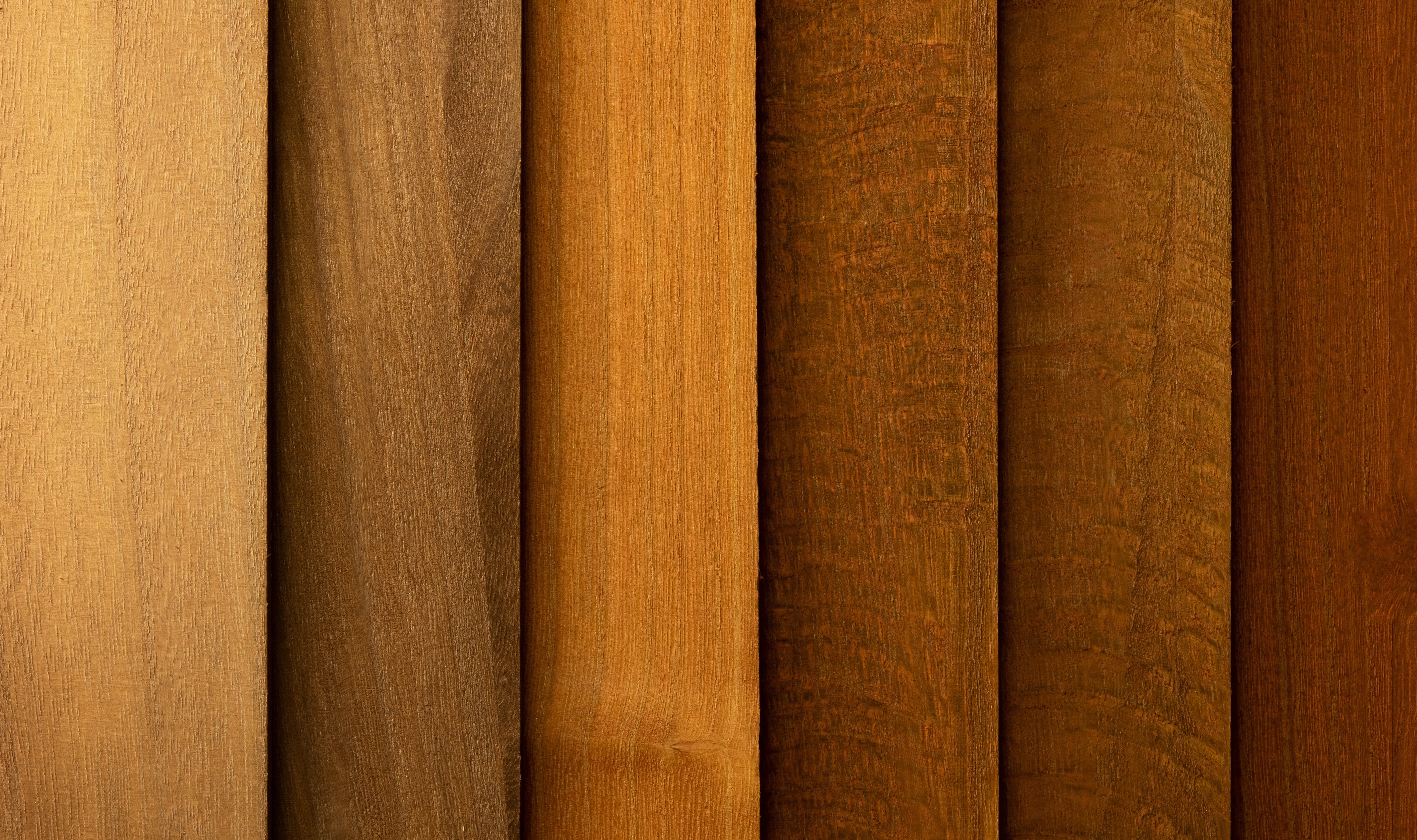 Choosing the Perfect Stain Color for Your Log Home